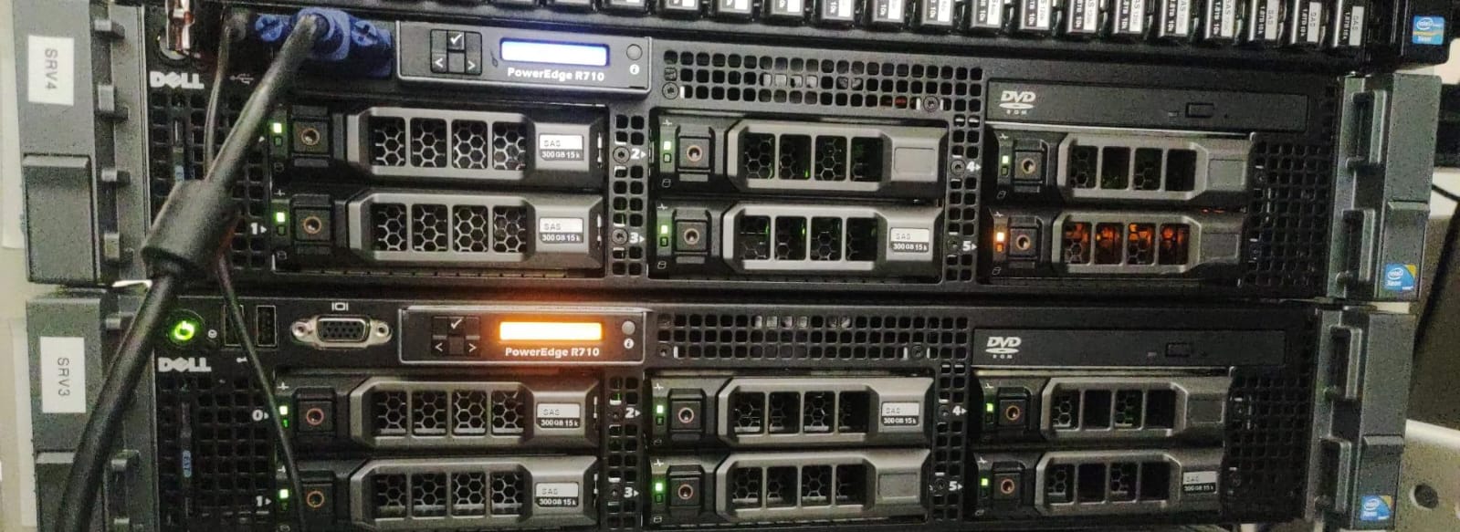 WhatsApp Image 2026-01-17 at 11.54.24.jpeg